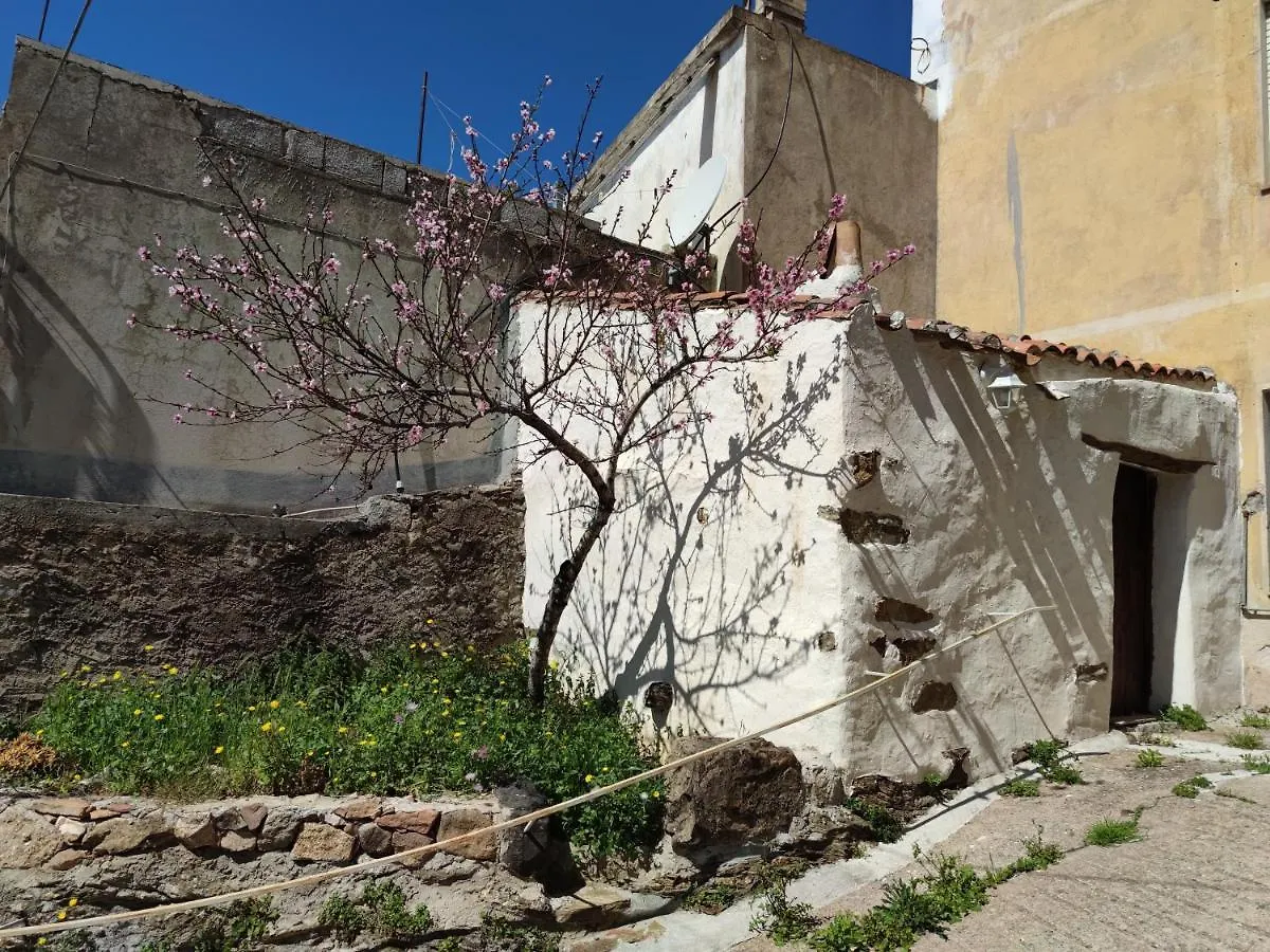 Сasa de vacaciones Villa Sa Dommu 'e su coro Triei