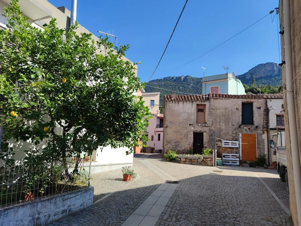 Villa Sa Dommu 'e su coro Triei